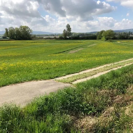 Seenah رادولفزيل ام بوندنز