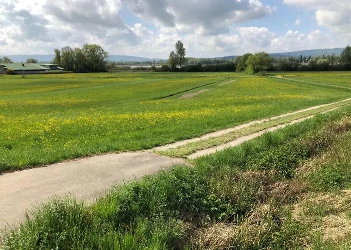 Seenah Radolfzell am Bodensee